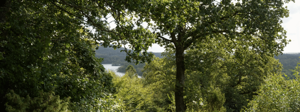 Bryllups lokation Jylland