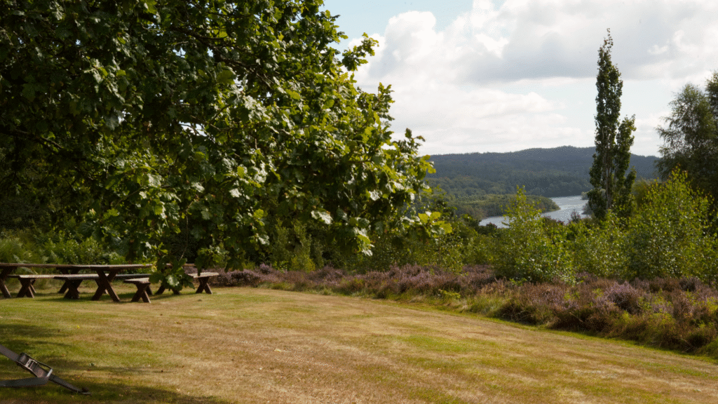 fest lokaler med overnatning